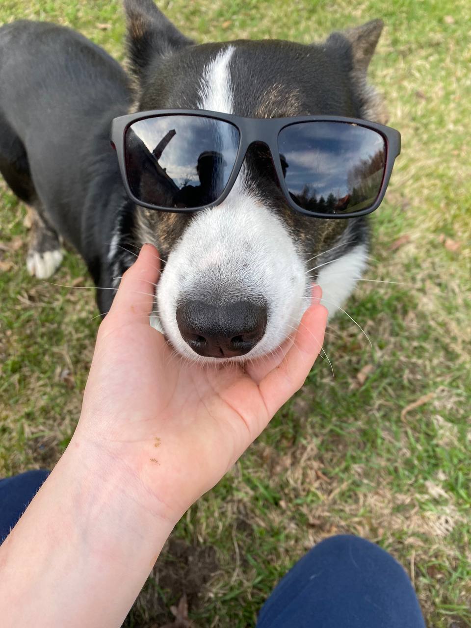 Грустный Кеша