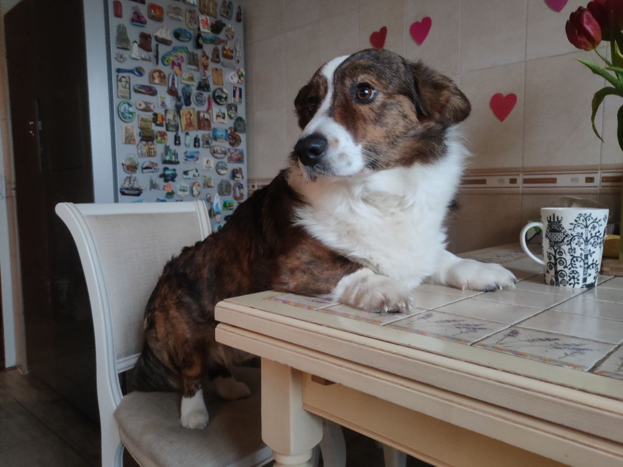 Фрей обнаглел